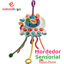 Carregar imagem no visualizador da galeria, Brinquedo Sensorial Puxa-Puxa Mordedor Montessori
