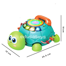 Carregar imagem no visualizador da galeria, Tartaruga Interativa