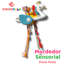 Carregar imagem no visualizador da galeria, Brinquedo Sensorial Puxa-Puxa Mordedor Montessori