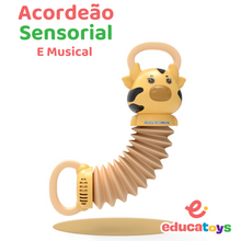 Carregar imagem no visualizador da galeria, Acordeão Sensorial e Musical Montessori