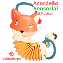 Carregar imagem no visualizador da galeria, Acordeão Sensorial e Musical Montessori