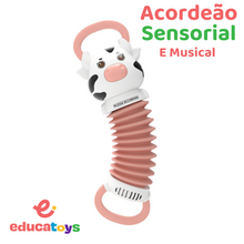 Carregar imagem no visualizador da galeria, Acordeão Sensorial e Musical Montessori