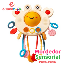 Carregar imagem no visualizador da galeria, Brinquedo Sensorial Puxa-Puxa Mordedor Montessori