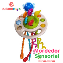 Carregar imagem no visualizador da galeria, Brinquedo Sensorial Puxa-Puxa Mordedor Montessori
