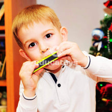 Carregar imagem no visualizador da galeria, Mini Gaita de Madeira
