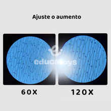 Carregar imagem no visualizador da galeria, Microscópio de Bolso
