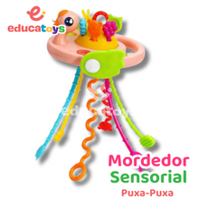 Carregar imagem no visualizador da galeria, Brinquedo Sensorial Puxa-Puxa Mordedor Montessori
