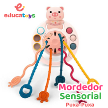 Carregar imagem no visualizador da galeria, Brinquedo Sensorial Puxa-Puxa Mordedor Montessori
